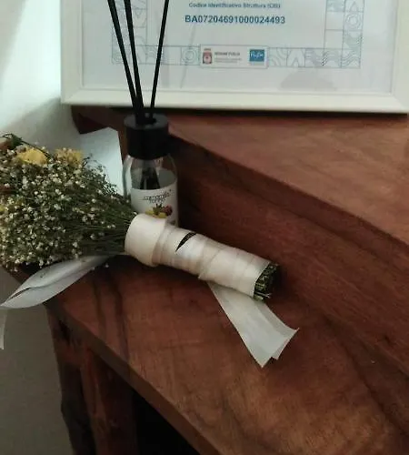 Iolyhouse تريدجانو